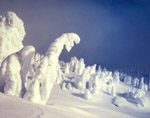 Snow Ghosts