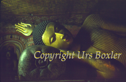  Reclining Buddha