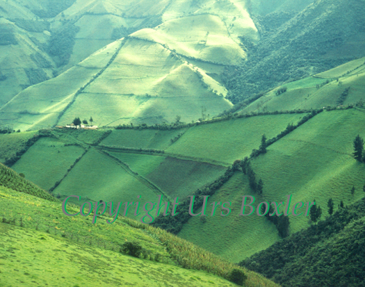  Andean Fields 