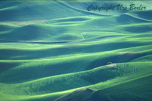  Rolling Fields 